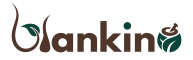 Blankino Graphics Logo-01
